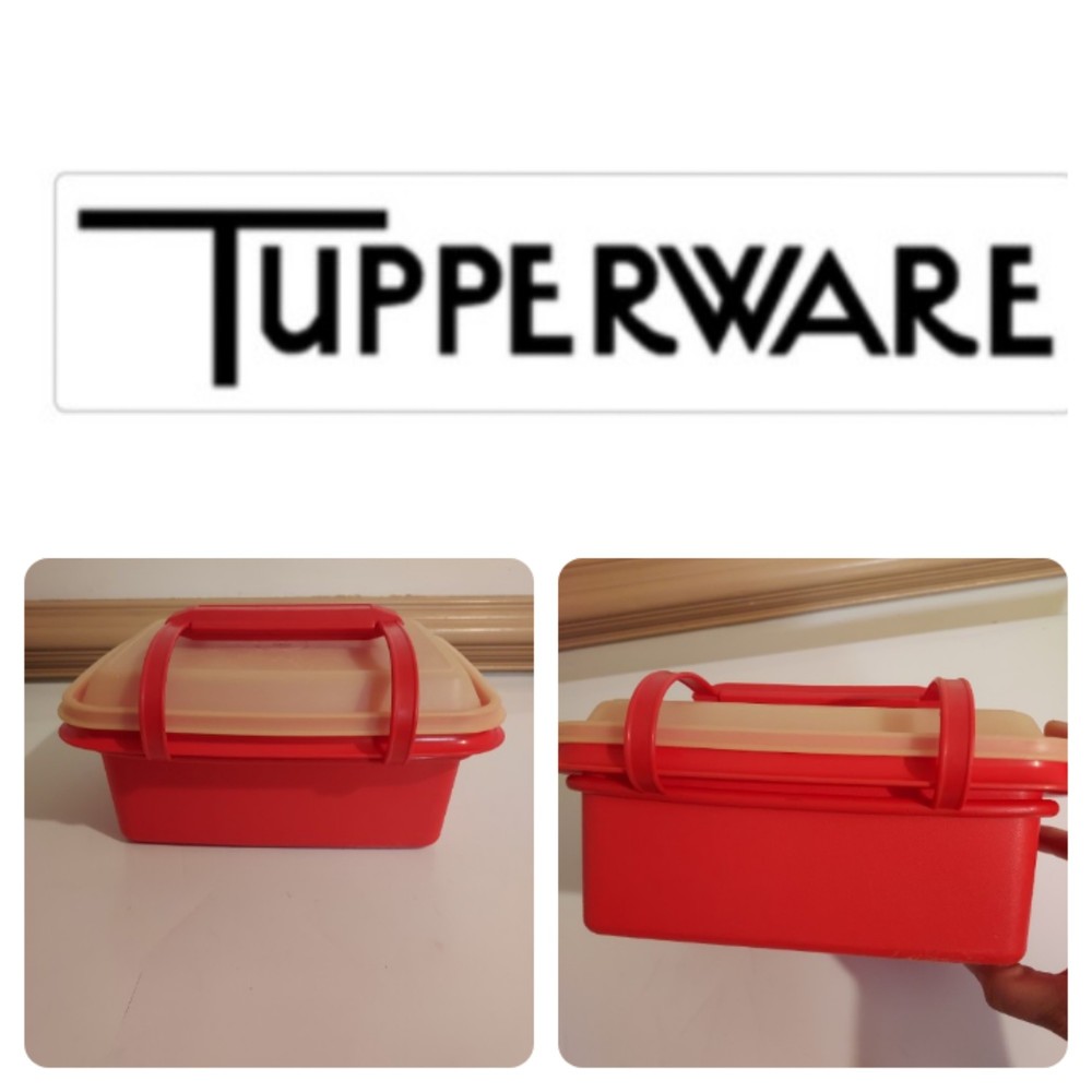 Vintage 1970's Tupperware Ice Cream Keeper Lunchbox 1254